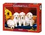 Puzzle 1000 Puppies With Sunflower CASTOR