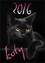 Kalendarz 2016 Ścienny mały - Koty AWM