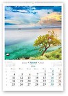 Kalendarz 2016 RW Drzewa świata
