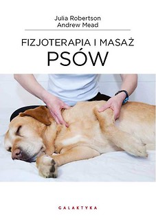 Fizjoterapia i masaż ps&oacute;w