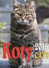 Kalendarz 2016 Koty