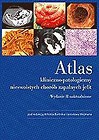 Atlas kliniczno-patologiczny nieswoistych... wyd.2