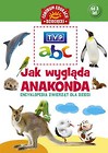 Jak wygląda anakonda Encyklopedia zwierząt dla dzieci