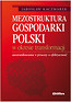 Mezostruktura gospodarki Polski w okresie transformacji