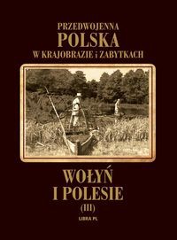 Przedwojenna Polska w krajobrazie i zabytkach. Wołyń i Polesie