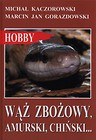 Wąż zbożowy, amurski, chiński…