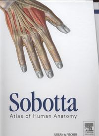 Sobotta Atlas of Human Anatomy