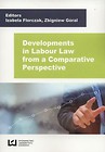 Developments in Labour Law from a Comparative Perspective