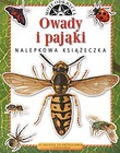 Owady i pająki Moje odkrycia