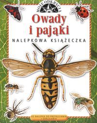 Owady i pająki Moje odkrycia