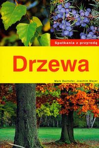 Drzewa