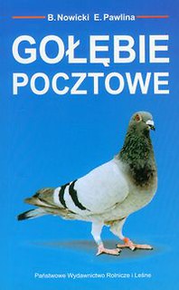Gołębie pocztowe
