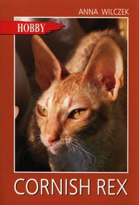 Cornish rex