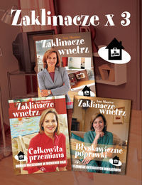 Zaklinacze x 3