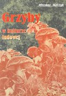 Grzyby w kulturze ludowej