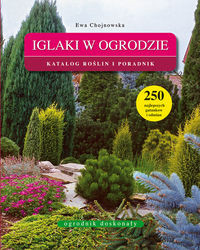 Iglaki w ogrodzie