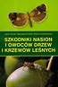 Szkodniki nasion i owoców drzew i krzewów leśnych