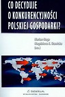 Co decyduje o konkurencyjności polskiej gospodarki
