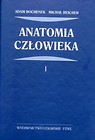 Anatomia człowieka