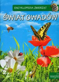 Encyklopedia zwierząt Świat owadów