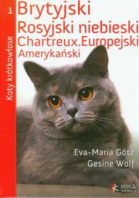 Koty krótkowłose
