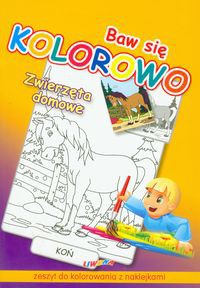 Baw się kolorowo Zwierzęta domowe Koń