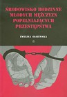 Środowisko rodzinne młodych mężczyzn popełniających przestępstwa