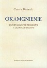 Okamgnienie