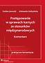 Postępowanie w sprawach karnych ze stosunków międzynarodowych Komentarz