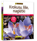 Krokusy, lilie, nagietki.