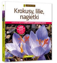 Krokusy, lilie, nagietki.