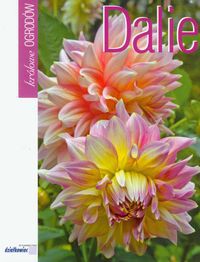 Dalie
