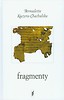 Fragmenty