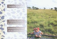 Misiaczka Rozalia na afrykańskim safari