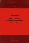 Opisy fleksyjne w gramatykach polskich lat 1817-1939