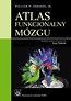 Atlas funkcjonalny mózgu