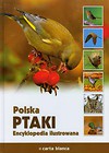 Polska Ptaki Encyklopedia ilustrowana