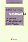 Słowotwórstwo rzeczownika w gwarze Proboszczewic koło Płocka
