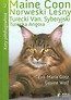 Koty półdługowłose Maine Coon Norweski Leśny Turecki Van Syberyjski Turecka Angora