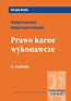 Prawo karne wykonawcze