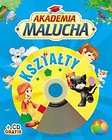 Akademia malucha Kształty z płytą CD