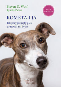 Kometa i ja