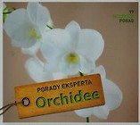 Orchidee Porady eksperta