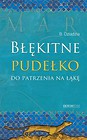 Błękitne pudełko do patrzenia na łąkę