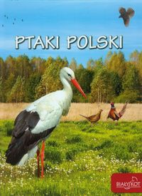 Ptaki Polski