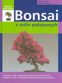 Bonsai z roślin pokojowych