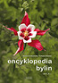 Encyklopedia bylin