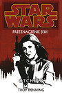 Star Wars Przeznaczenie Jedi 3 Otchłań