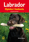 Labrador Opieka i hodowla