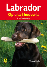 Labrador Opieka i hodowla